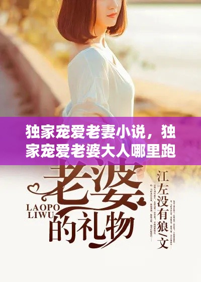 獨家寵愛老妻小說，獨家寵愛老婆大人哪里跑 