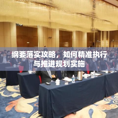 綱要落實攻略，如何精準執(zhí)行與推進規(guī)劃實施