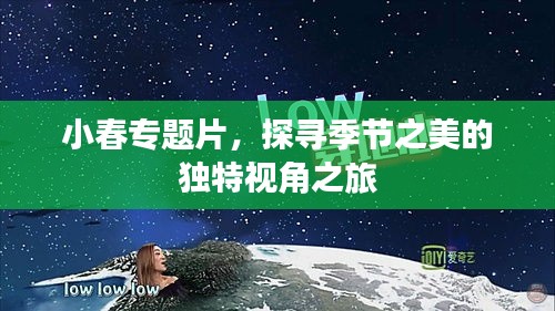 小春專題片，探尋季節(jié)之美的獨特視角之旅