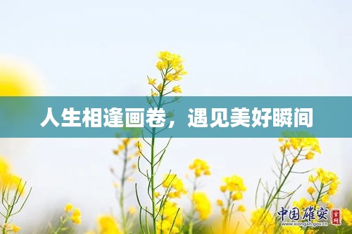 人生相逢畫卷，遇見美好瞬間