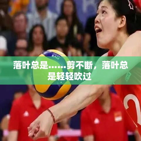 落葉總是……剪不斷，落葉總是輕輕吹過 