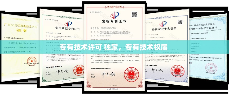 專有技術(shù)許可 獨(dú)家，專有技術(shù)權(quán)屬 