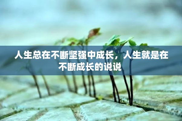 人生總在不斷堅(jiān)強(qiáng)中成長(zhǎng)，人生就是在不斷成長(zhǎng)的說(shuō)說(shuō) 