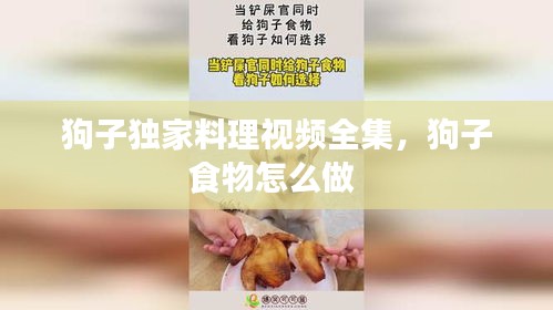 狗子獨家料理視頻全集，狗子食物怎么做 