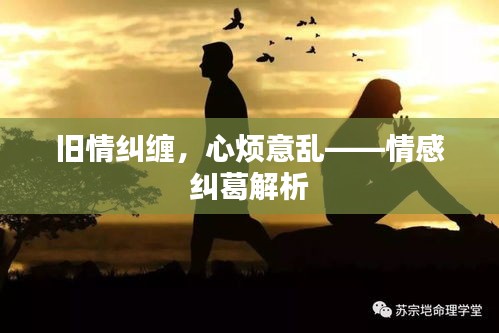 舊情糾纏，心煩意亂——情感糾葛解析