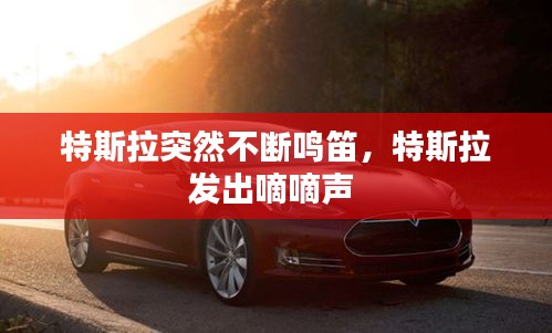 特斯拉突然不斷鳴笛，特斯拉發(fā)出嘀嘀聲 