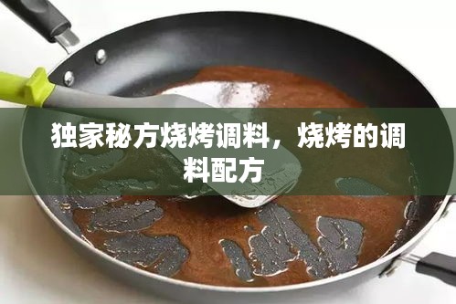 獨家秘方燒烤調(diào)料，燒烤的調(diào)料配方 