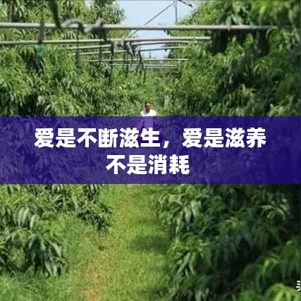 愛是不斷滋生，愛是滋養(yǎng)不是消耗 