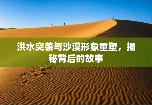 洪水突襲與沙漠形象重塑，揭秘背后的故事