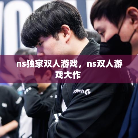 ns獨家雙人游戲，ns雙人游戲大作 