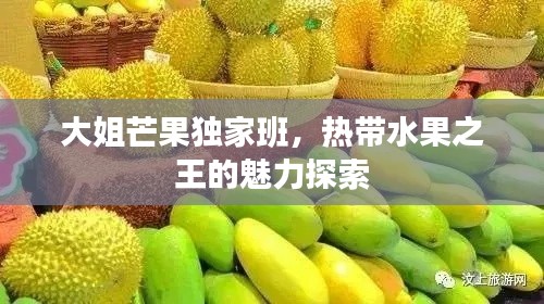 大姐芒果獨家班，熱帶水果之王的魅力探索