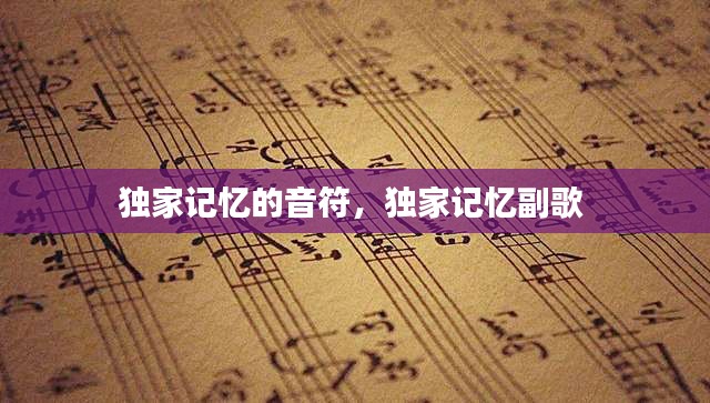 獨(dú)家記憶的音符，獨(dú)家記憶副歌 