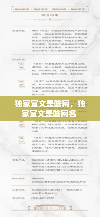 獨(dú)家宣文是啥網(wǎng)，獨(dú)家宣文是啥網(wǎng)名 