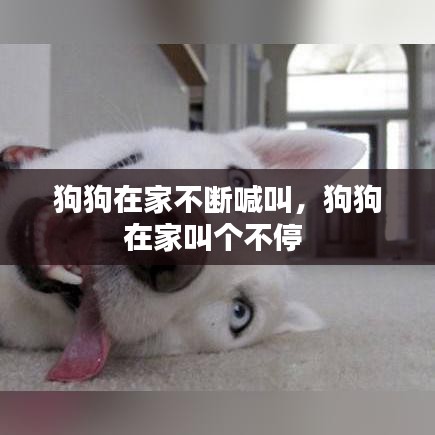 狗狗在家不斷喊叫，狗狗在家叫個(gè)不停 