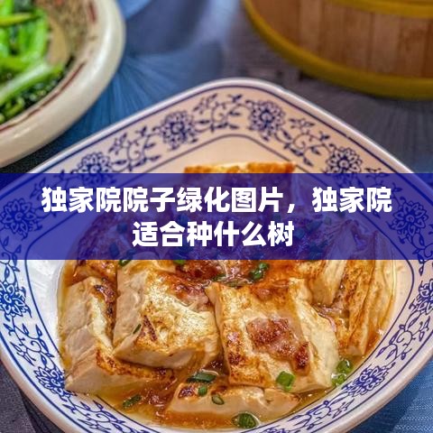 獨家院院子綠化圖片，獨家院適合種什么樹 