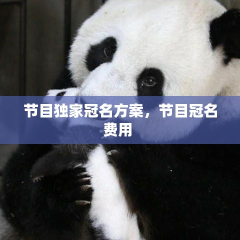 節(jié)目獨(dú)家冠名方案，節(jié)目冠名費(fèi)用 