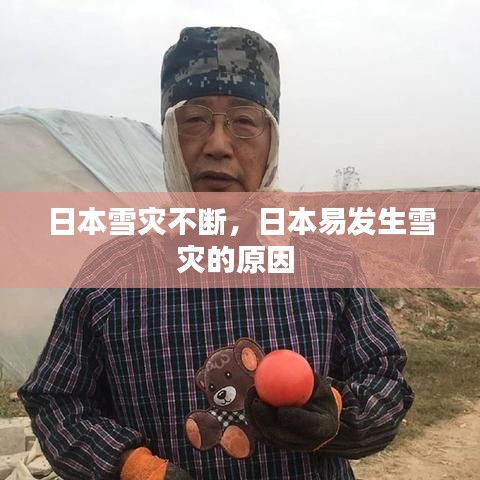 日本雪災不斷，日本易發(fā)生雪災的原因 