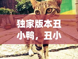 獨(dú)家版本丑小鴨，丑小鴨主頁 