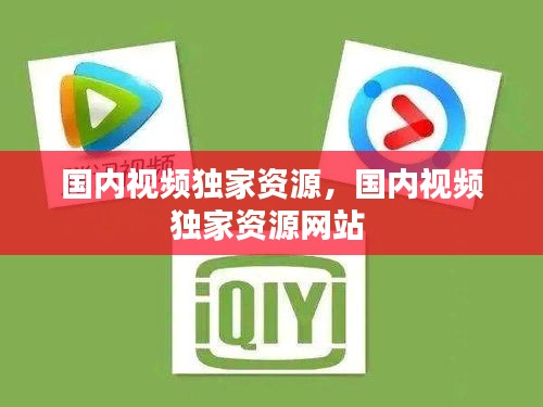 國內(nèi)視頻獨家資源，國內(nèi)視頻獨家資源網(wǎng)站 