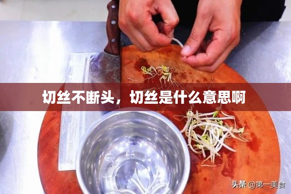 切絲不斷頭，切絲是什么意思啊 