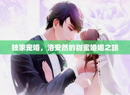獨(dú)家寵婚，洛安然的甜蜜婚姻之旅
