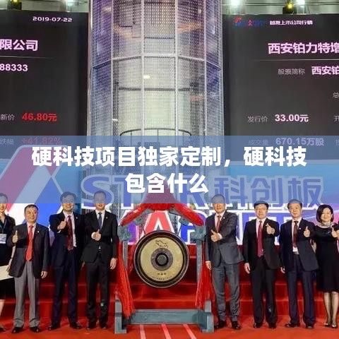 硬科技項(xiàng)目獨(dú)家定制，硬科技包含什么 