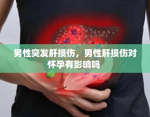 男性突發(fā)肝損傷，男性肝損傷對懷孕有影響嗎 
