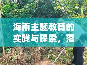 海南主題教育的實(shí)踐與探索，落地生根，成效顯著