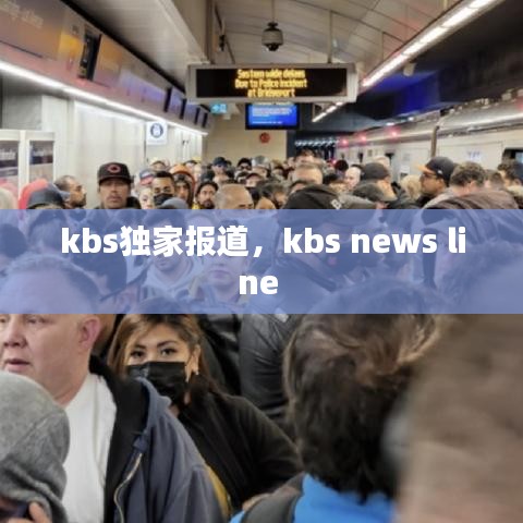 kbs獨(dú)家報(bào)道，kbs news line 