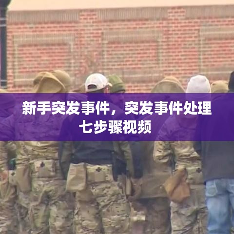 新手突發(fā)事件，突發(fā)事件處理七步驟視頻 