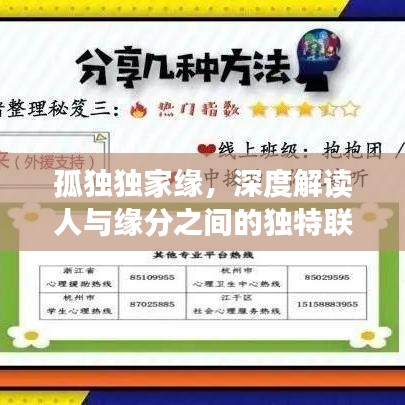 孤獨獨家緣，深度解讀人與緣分之間的獨特聯(lián)系