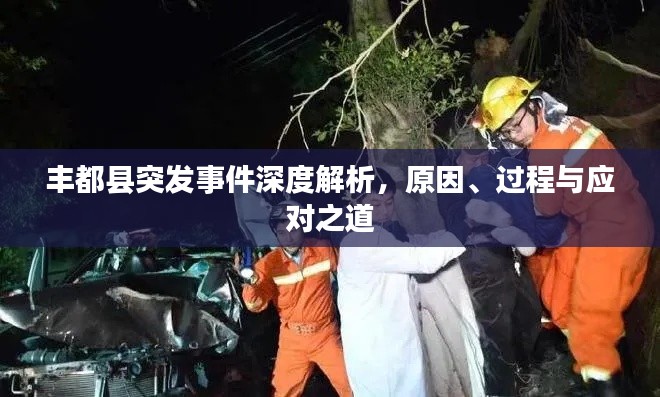 豐都縣突發(fā)事件深度解析，原因、過程與應(yīng)對之道