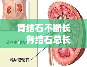 射飛逐走 第3頁