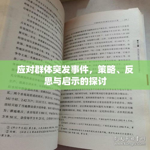 應對群體突發(fā)事件，策略、反思與啟示的探討