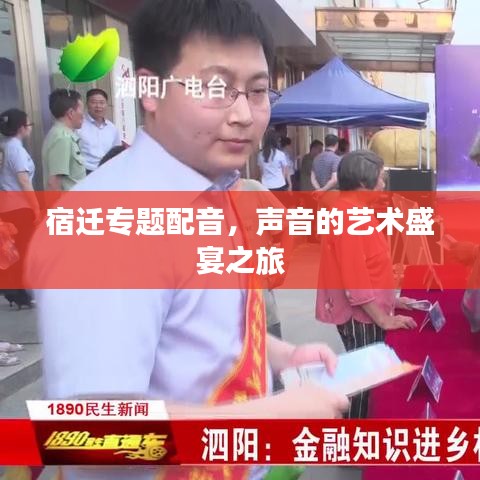 宿遷專題配音，聲音的藝術(shù)盛宴之旅