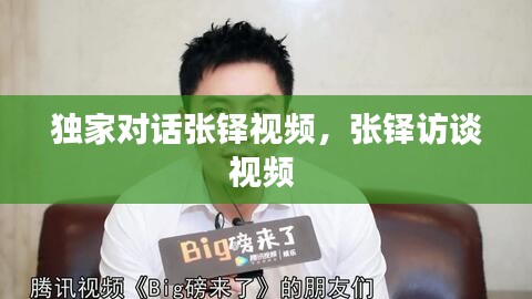 獨(dú)家對(duì)話張鐸視頻，張鐸訪談視頻 