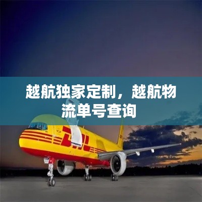 越航獨家定制，越航物流單號查詢 