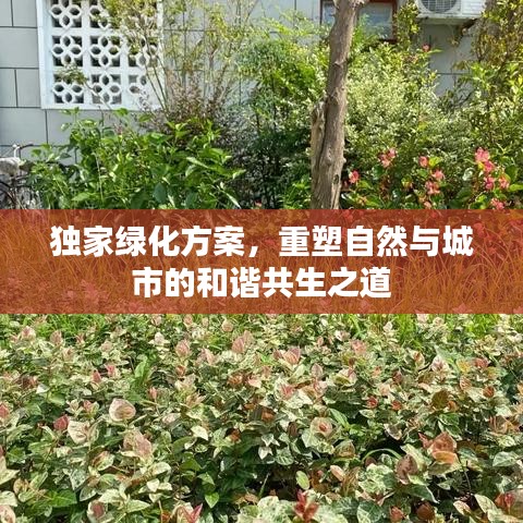 獨(dú)家綠化方案，重塑自然與城市的和諧共生之道