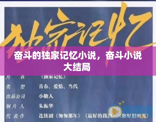 奮斗的獨家記憶小說，奮斗小說大結(jié)局 