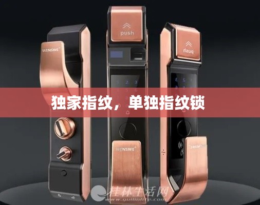獨家指紋，單獨指紋鎖 
