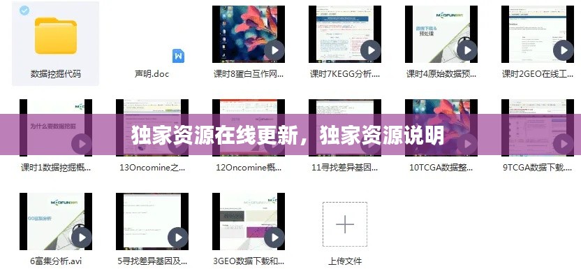 獨家資源在線更新，獨家資源說明 