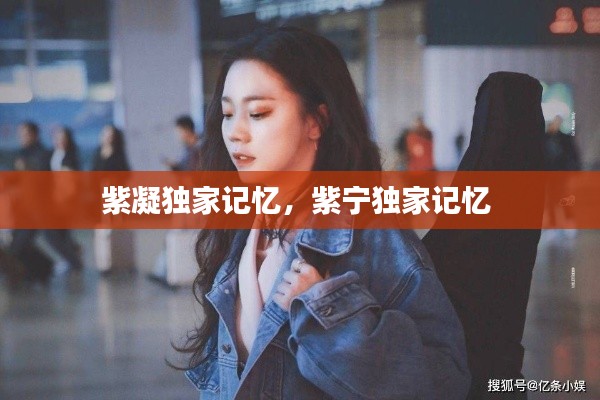 紫凝獨家記憶，紫寧獨家記憶 