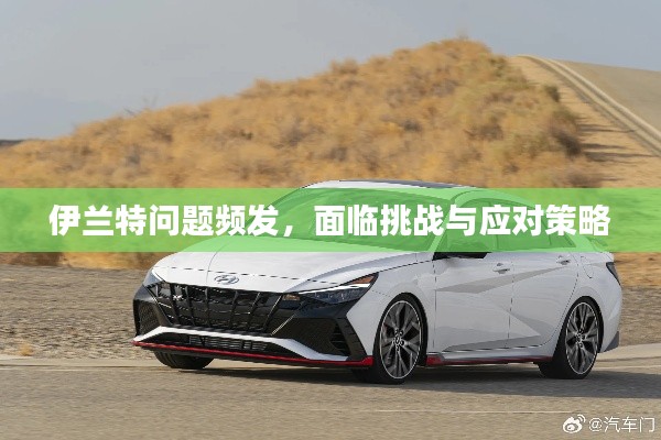 伊蘭特問題頻發(fā)，面臨挑戰(zhàn)與應(yīng)對策略