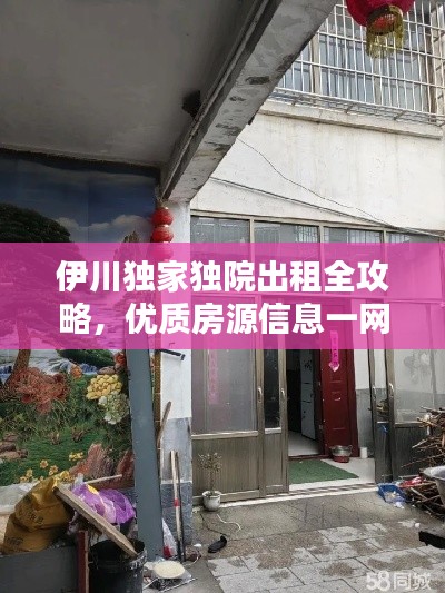 伊川獨(dú)家獨(dú)院出租全攻略，優(yōu)質(zhì)房源信息一網(wǎng)打盡