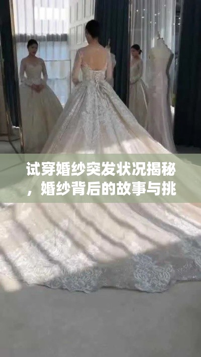 月里嫦娥 第3頁(yè)