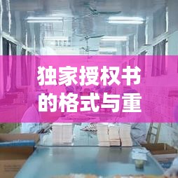 獨(dú)家授權(quán)書的格式與重要性解析