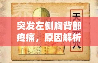 突發(fā)左側(cè)胸背部疼痛，原因解析、診斷方法與治療策略