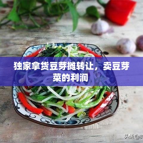 獨(dú)家拿貨豆芽攤轉(zhuǎn)讓，賣豆芽菜的利潤(rùn) 