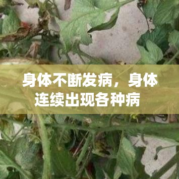 身體不斷發(fā)病，身體連續(xù)出現(xiàn)各種病 