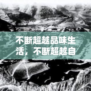 不斷超越品味生活，不斷超越自我是什么意思 